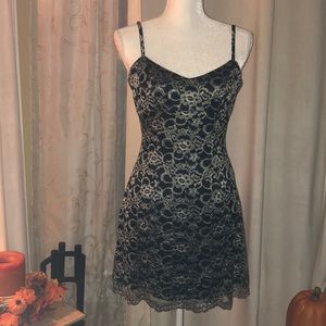 bebe lace dress